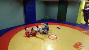 Ахил из стойки. Прием самбо