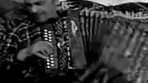 гармонист виктор воронков