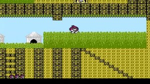 MAME MESS 888888 IN 1 ONE COOLBOY PLAYING ANGRY BIRDS 2 THE NEWZEALAND STORY HACK NES ENHANCED