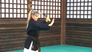 кобудо нунчаку 1