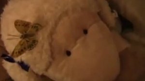 В ГОСТЯХ У ЛЕРЫ КОЗЛОВОЙ!