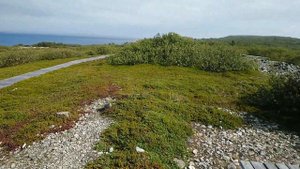 Большой Заяцкий остров Соловецкого архипелага