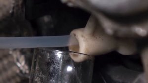 Пенная чистка системы кондиционирования Lavr LN1750