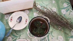 Подкормка для ПЧЁЛ ОСЕНЬЮ лечебная ПОЛЫНЬ +++ Рецепт сиропа для закорма пчёл в зиму ! Пропорции