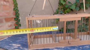 Западок для ловли певчих диких птиц, заказать с доставкой!