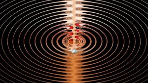 Как бороться с блохами в квартире ??