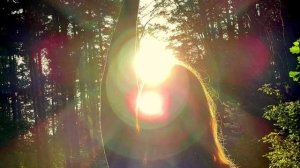 Двенадцать нитей ДНК