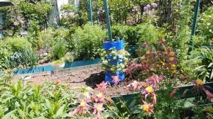 "Умные грядки" на садовом участке