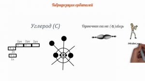 18 Урок_Гибридизация орбиталей ,Делокализованные связи,Энергия связи_Анимированные уроки