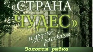 Золотая рыбка / Протоиерей Андрей Ткачев / Рассказ из книги "Страна чудес и другие рассказы"