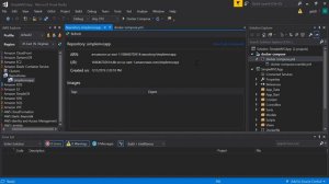 Amazon ECR with Visual Studio