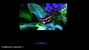 Проекционные экраны Lumien Master Picture CSR: сматываются плавно, останавливаются на нужной высоте