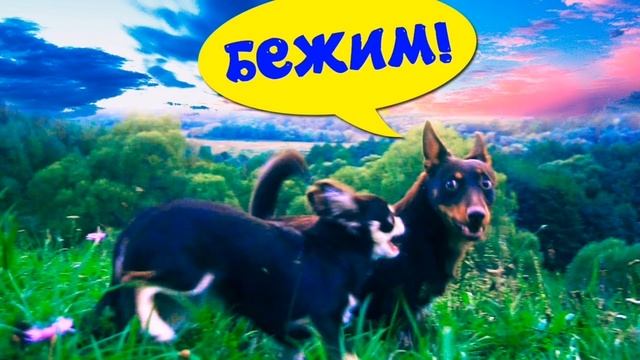 Ты мой маленький герой - илай ( полная версия)