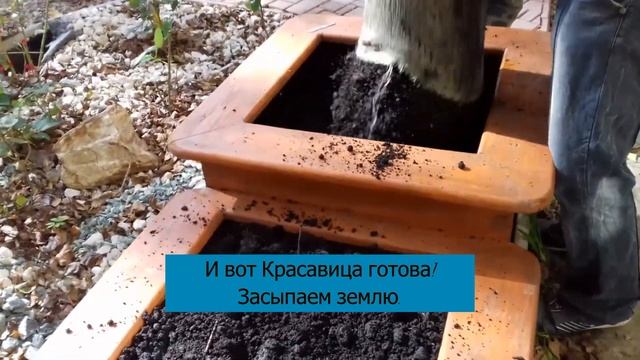 Дизайн участка с нуля. Райский садик! Озеленение с юмором и музыкой.