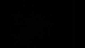 Spore | Возможно ли пройти игру без рта?