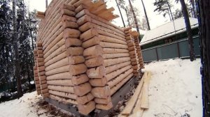 Строительство бани из рубленого бревна в Тюмени, сруб бани