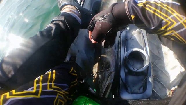 Strike ekor kuning on kayak Black&White fishing смотреть онлайн