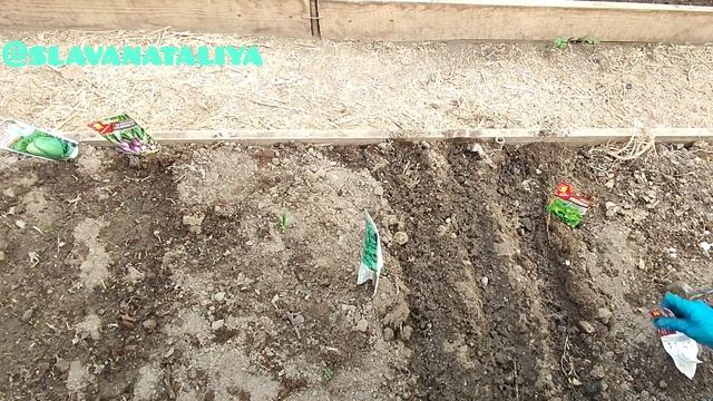 Посевы в апреле смотреть онлайн