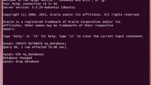 MySQL Tutorial from Terminal 5/27: Creating / Selecting / Deleting Databases