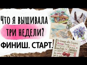 160. Продвижения за ТРИ недели июля | Старт и финиш | Вышивка крестом