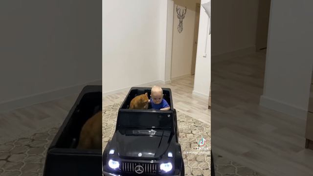 валим валим валим на гелике