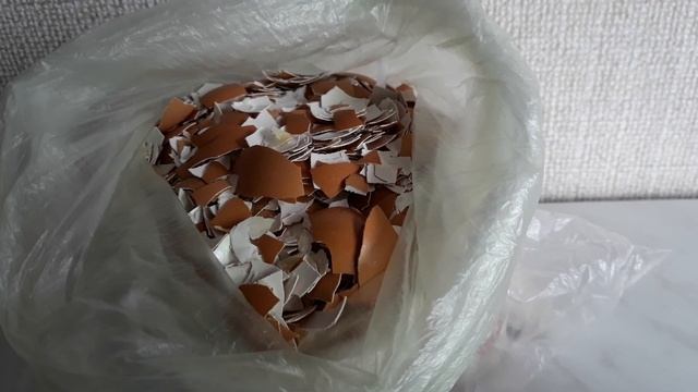 Подготовка яичной скорлупы для поездки на дачу смотреть онлайн