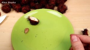 Сок из РАМБУТАНА! Бросил Покетбук в Стиральную машину! Бедная соковыжималка! alex boyko