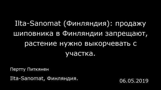 Ilta-Sanomat (Финляндия): продажу шиповника в Финляндии запрещают, растение нужно выкорчевать с уча