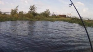 Рыбалка с ОПЫТНЫМ ГИДОМ . ЛОВЛЯ СПИННИНГОМ НА РЫБИНСКОМ ВОДОХРАНИЛИЩЕ