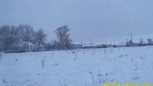 село шапкино мучкапский район зима