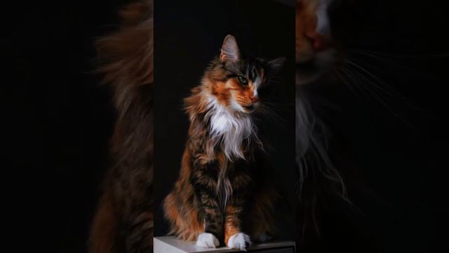 Божественное существо 😇 смотреть онлайн