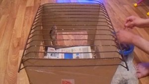 как вялить рыбу в домашних условиях , как вялить рыбу зимой , сушилка для рыбы