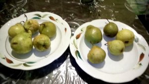 Обзор 7 ноября 2021. Груши 10 сортов.