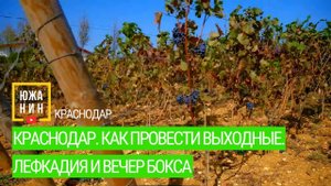 Краснодар. Как провести выходные. Лефкадия и вечер бокса