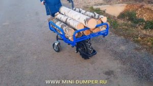 Садовая электрическая тачка для дачи