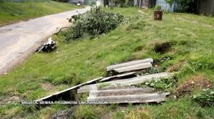 В Белой Дуброве стихия повредила дома, деревья и унесла человеческую жизнь