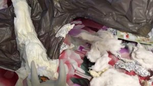 как сделать Дракона размером с собаку, своими руками.