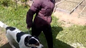 Как правильно использовать строгий ошейник