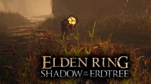 Elden Ring: Shadow of the Erdtree #24 - Безумные убийцы