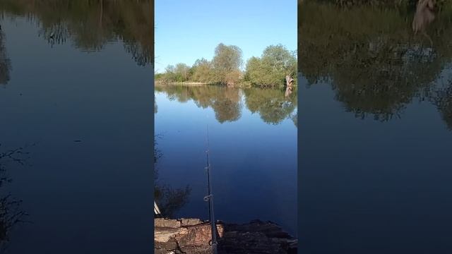 На рыбалку каждый день _ Рыбалка на поплавок #fishing #youtubeshorts