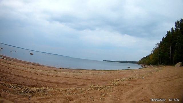 25.09.2020 Приморск , Вязы , Прибылово