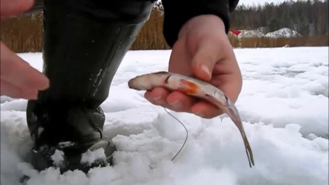 Жерлицы 20 15 (открытие после нового года) смотреть онлайн