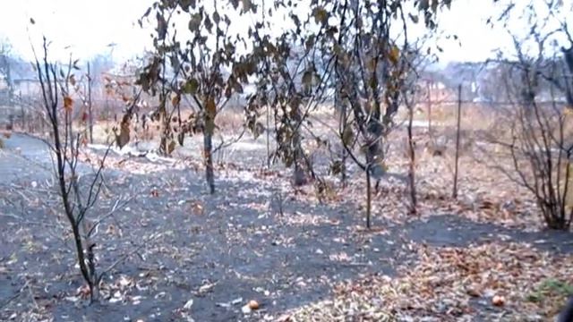 ПО кален ДАРЮ ЗИМа на Улице .... смотреть онлайн