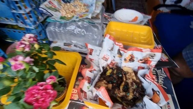 Что будет если размножится потомство крыс на даче # 22 смотреть онлайн