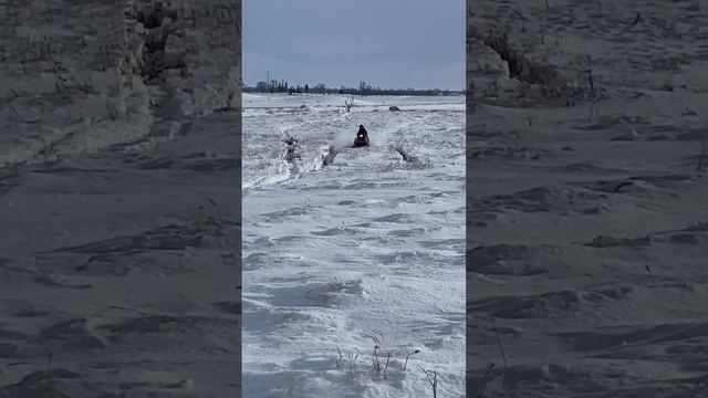 Ripping through the cattails