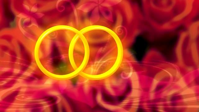 Свадебные кольца | Wedding rings