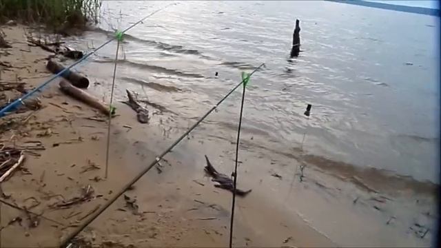 Рыбалка на леща в мае-Рыбалка на Сурском водохранилище- Лещ на спиннинг смотреть онлайн