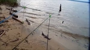 Рыбалка на леща в мае-Рыбалка на Сурском водохранилище- Лещ на спиннинг
