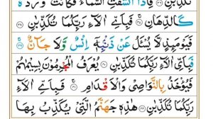 Surah Yaseen | Surah Rahman | Surah Waqia | Surah Mulk | Quran recitation | lofi quran