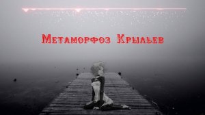 лжедмитрий IV - метаморфоз крыльев